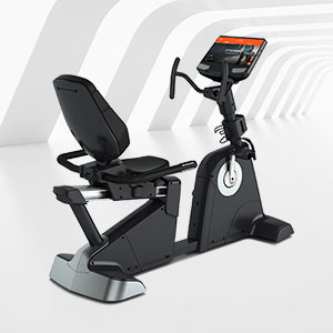 BCE-302T健身房商用豪華臥式磁控健身車